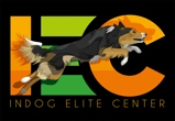 INDOG ApS